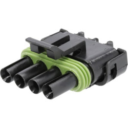 Kištuko korpusas 4 P. Moteris WP DE12015797