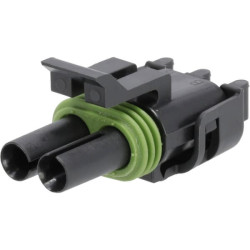 Kištuko korpusas 2 P. Moteris WP DE12015792