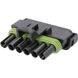 Kištuko korpusas 6 P. Moteris WP DE12020926