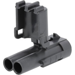 Kištuko korpusas 2 P. Kištukas WP DE12010973