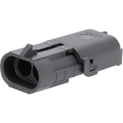 Kištuko korpusas 2 P. Kištukas WP DE12010973