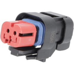 Kištuko korpusas 2P. Moteris, raudona AMP7764271