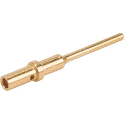 Kontaktinis kaištis vyriškas DS20 vyriškas auksinis DS04602022031