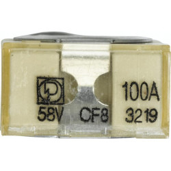 Saugiklis 58V 100A Pakuotė 1x Hella 8JS747876021