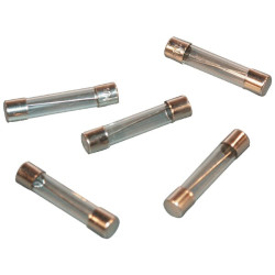 Saugiklio stiklas 10A ilgis 32mm Pakuotė 25x SI23516