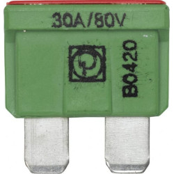 Saugiklis Standartinis mentė 80V 30A Ilgis 19,7mm žalia Pakuotė 10x Hella 8JS711683272