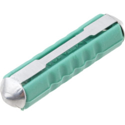 Saugiklis Torpedo 10A Ilgis 25mm žalia Pakuotė 100x SI12010