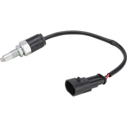 Greičio jutiklis 6000103560