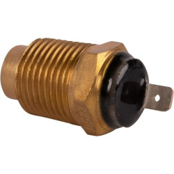 Temperatūros jungiklis 1345488C3