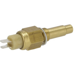 Temperatūros siųstuvas 04217996