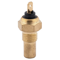 Vandens temperatūros jutiklis 60115705