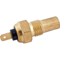 Vandens temperatūros jutiklis 60115705