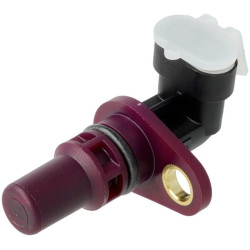 Jutiklis G931970020044