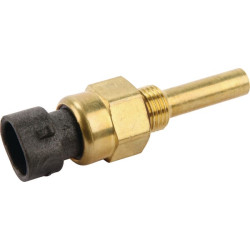 Degalų įpurškimo jutiklis 6005029273