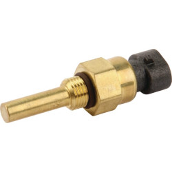 Degalų įpurškimo jutiklis 6005029273