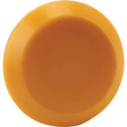 Emblema, tuščia, apvali, geltona 11310000PN