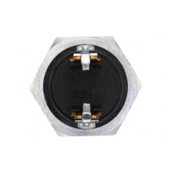 Uždegimo / starterio jungiklis, S29, stūmimo valdymas, 2 kontaktų, paprastai atviras kontaktas, Ø 24 mm 6JF001571001