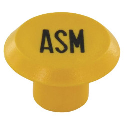 Emblema, ASM, apvali, geltona 11316220PN