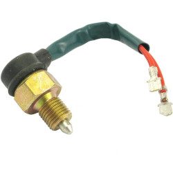 Saugos paleidimo izoliatoriaus jungiklis VPM6034