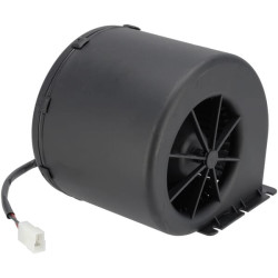 Orapūtė 12V, 1 greitis, 007-A56-32D CB 30002607