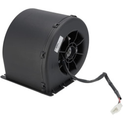 Orapūtė 12V, 1 greitis, 007-A56-32D CB 30002607