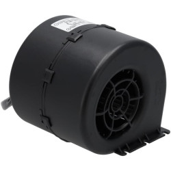 Orapūtė 12V, Delphi 280, 008-A100-93D GR BT 30003164