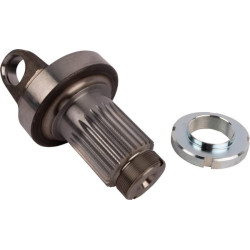 Ašies velenas 015046356