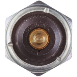 Alyvos slėgio jungiklis, 12V, 1/4 colio, 1 kontaktas, normaliai uždaras kontaktas 6ZL003259421