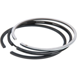 Stūmoklis F199204310010