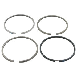 Stūmoklio žiedų rinkinys Case - IH 3144977R91