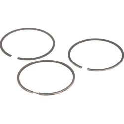 Stūmoklis 3659882M1