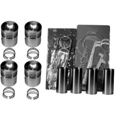 Stūmoklio ir įdėklo mazgas 03370065620