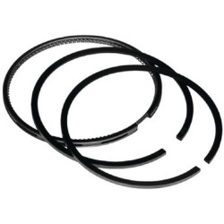 Standartinis stūmoklis VPB2022