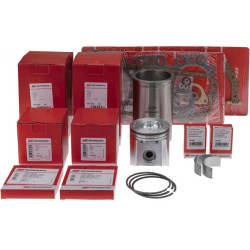 Variklio remonto komplektas, 4 žiedai, skirtas C-385 Mahle 26900480002001