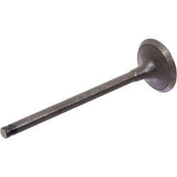 Išmetimo vožtuvas 8830045