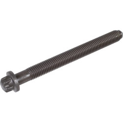 Varžtas su galvute 04202005