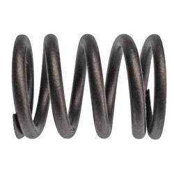 Vožtuvo spyruoklė (x8) VPA2049