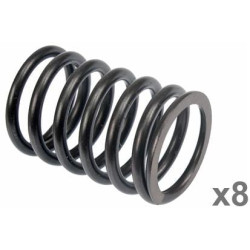 Vožtuvo spyruoklė (x8) VPA2020