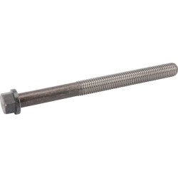 Galvos varžtas F199202210010