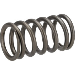 Vožtuvo spyruoklė 04221153