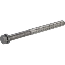 Cilindro galvutės varžtas 12200620