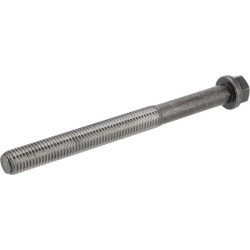 Cilindro galvutės varžtas 12200620