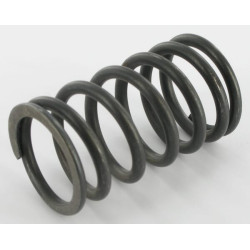 Vožtuvo spyruoklė 3369305