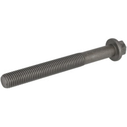 Cilindro galvutės varžtas 04900633