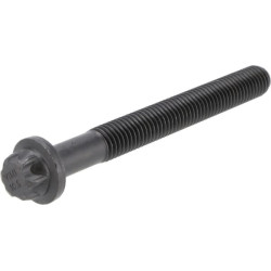 Cilindro galvutės varžtas 12851751