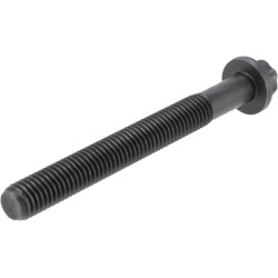 Cilindro galvutės varžtas 12851751