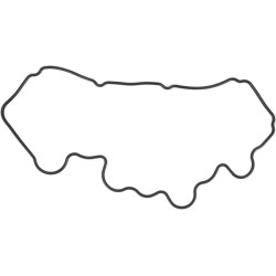 Vožtuvo dangtelio tarpiklis 1C01014520