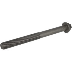 Cilindro galvutės varžtas 04900634