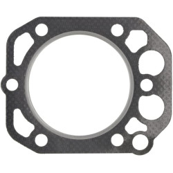 Cilindro galvutės tarpinė 1459503310