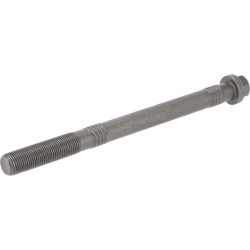 Cilindro galvutės varžtas 04263796